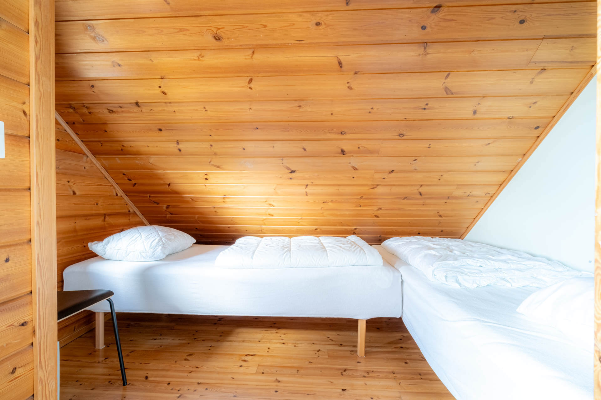 2025_alppihimos38_10
