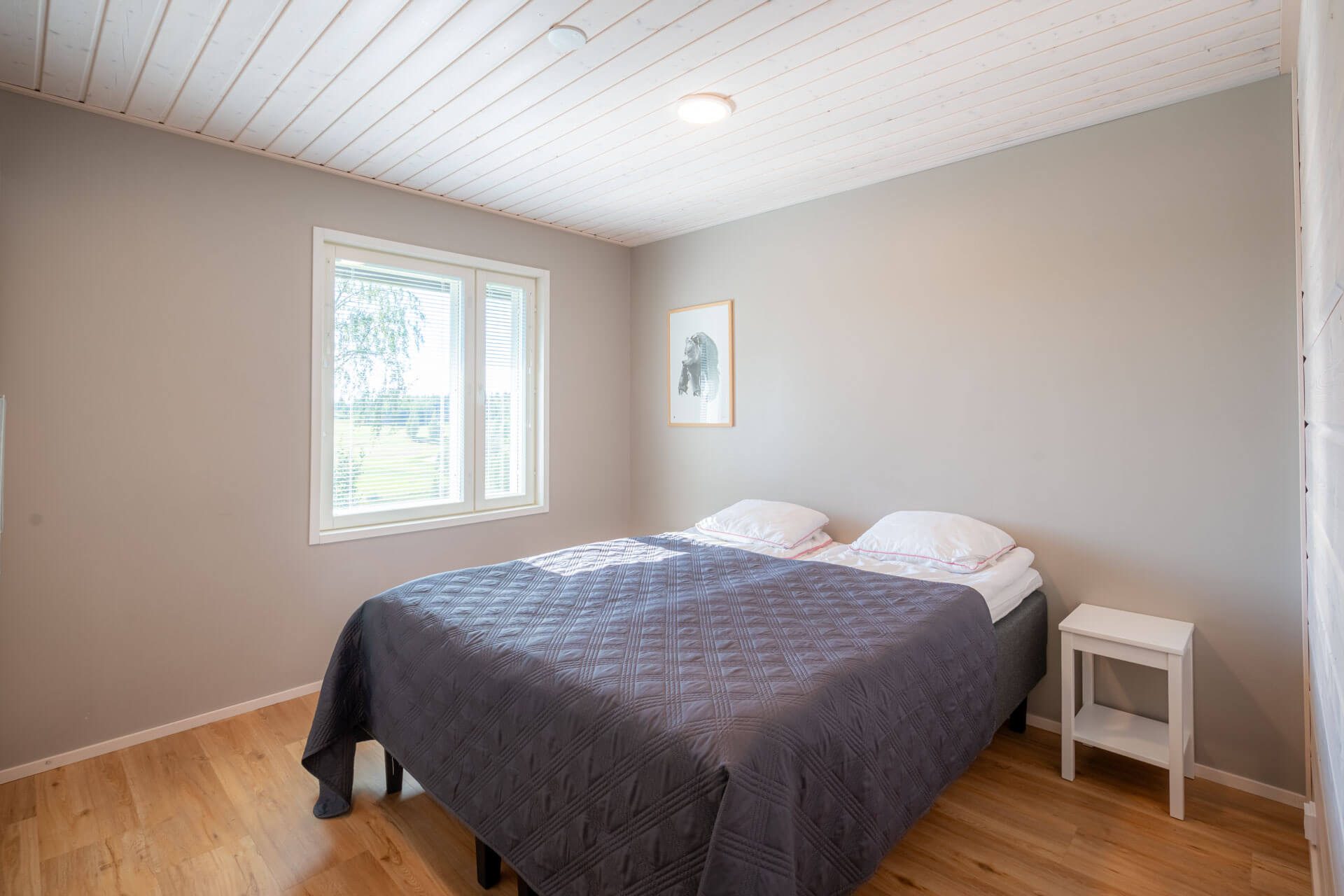 2025_salavantsaari_8
