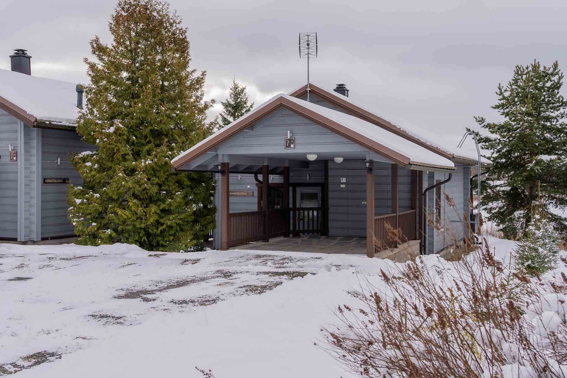 2025_himoskoivu1_talvi1
