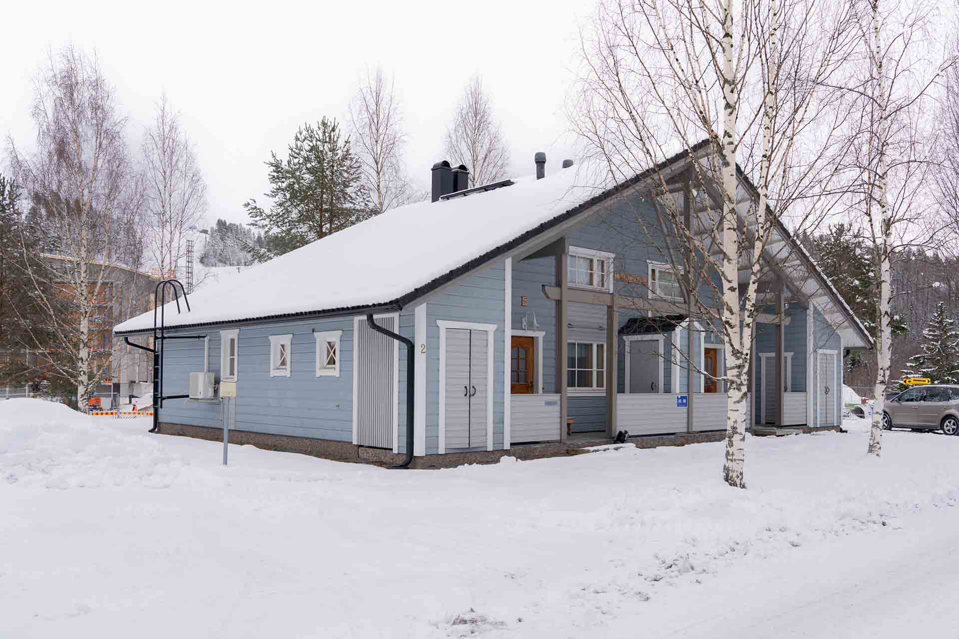 hiihtajankurvi2_talvi1
