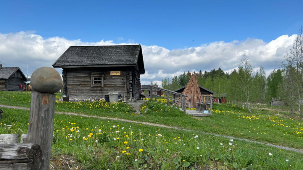 Kesä Jämsän Saunakylässä, Savusaunoja, veherää maisemaa ja voikukkia. Puolipilvinen keli.