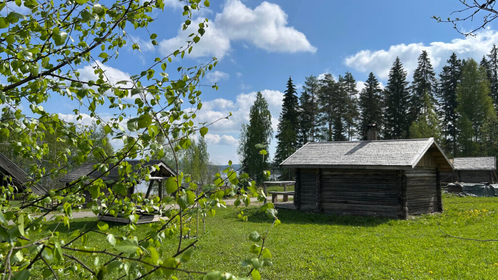 Kesä Jämsän Saunakylässä, Savusaunoja, koivuja, joissa paljon lehtiä ja voikukkia. Puolipilvinen keli.