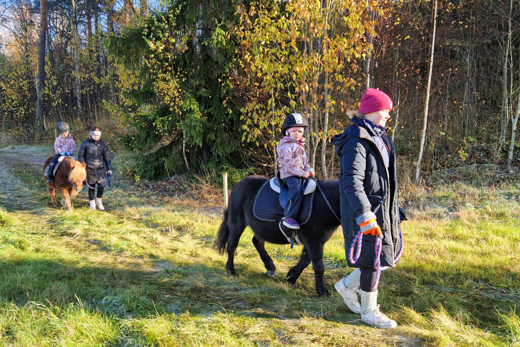 kaksi ponia, joilla ratsastajat ja taluttajat. syksyinen maisema Himoksella.