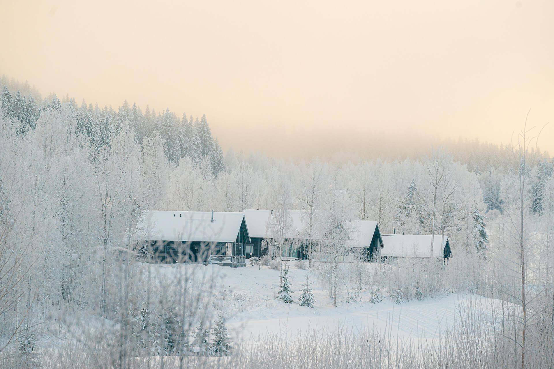 Himoksen mökkejä aivan vitivalkoisessa talvikelissä ja taivas hohtaa kellertävänä. Puut ovat täysin lumessa.