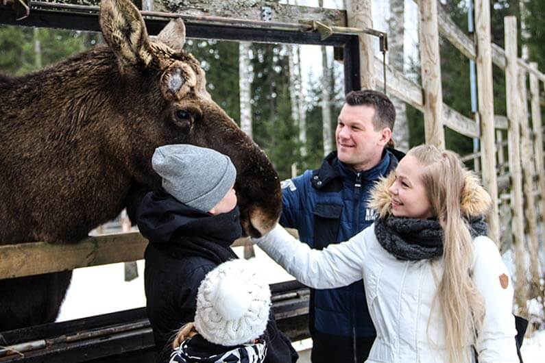 lasten talvi himoksella
