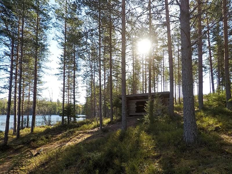 mönkijäsafari himoksella