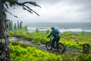 Usvainen maisema Himosvuoren päältä, jossa yksi eFatbike-pyöräilijä polkee metsäpolulla.