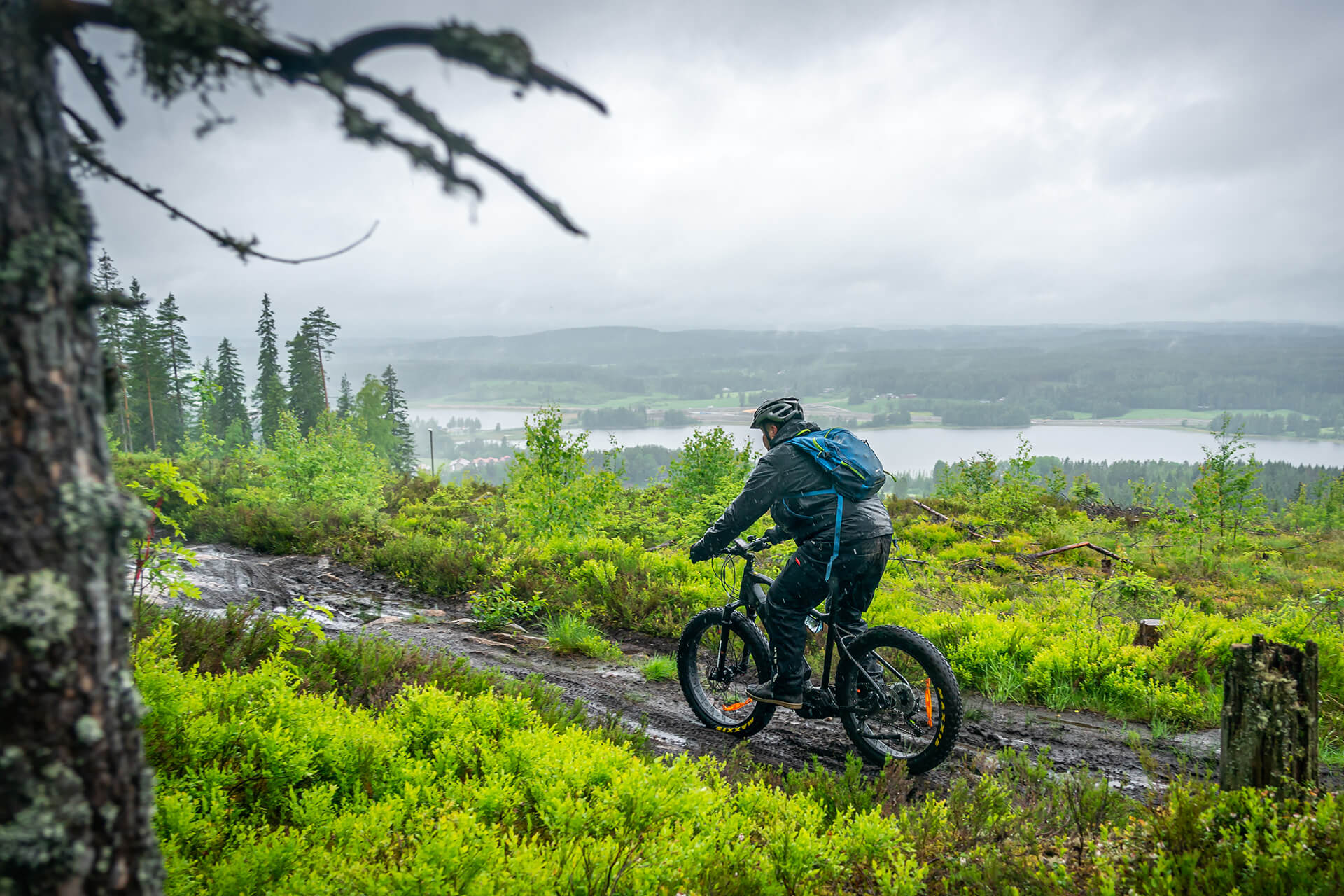 Usvainen maisema Himosvuoren päältä, jossa yksi eFatbike-pyöräilijä polkee metsäpolulla.