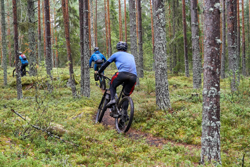 Kolme pyöräilijää kulkemassa eFatibike-pyörillä metsässä.