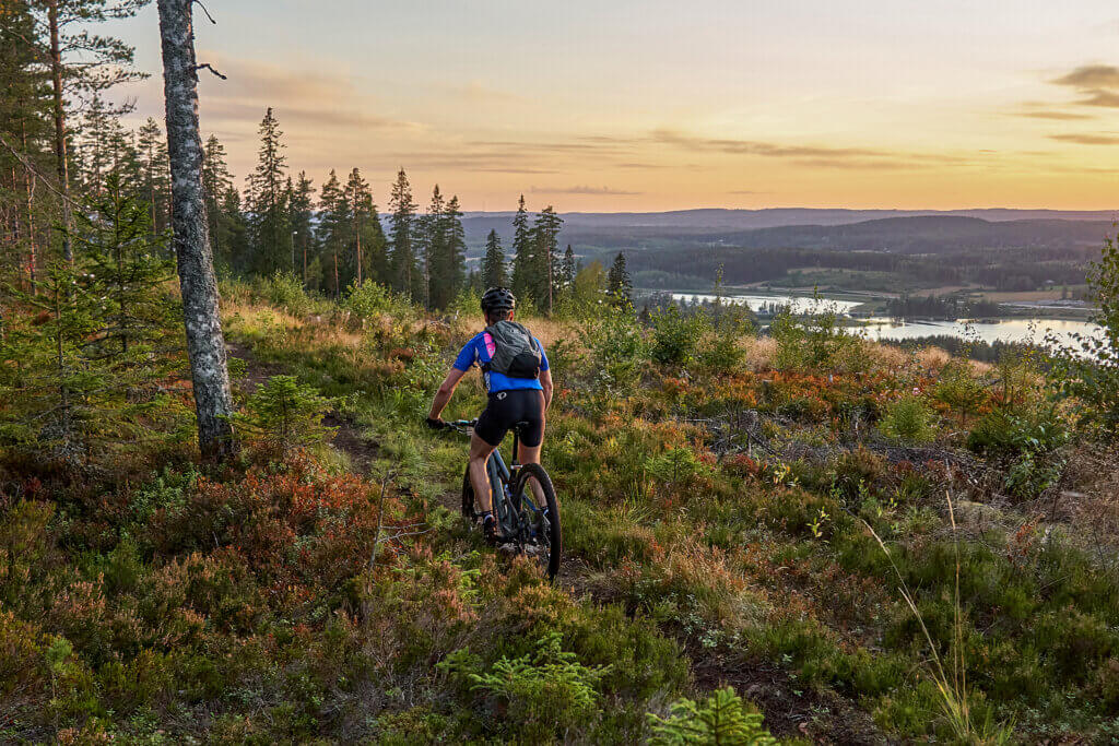 Syysvärien ja ruskan värittämässä maisemassa pyöräilijä kulkee maastoreittiä Himosvuoren päällä.