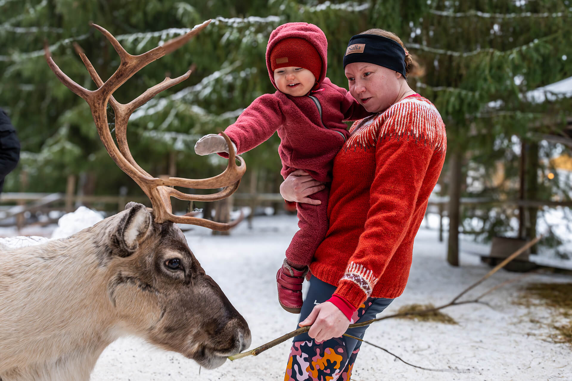 Lapsen kanssa syöttämässä Hirvikartanon poroa talvella.