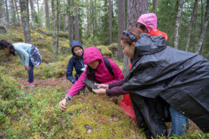 ryhmä ulkomaalaisia turisteja poimii marjoja metsässä ja ikuistaa tapahtuman valokuvaan.