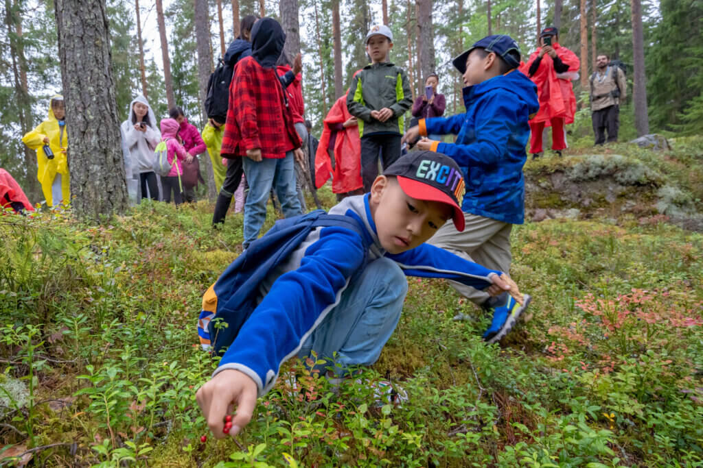 Ulkomaalainen turistiryhmä metsässä keräämässä marjoja suomalaisesta metsästä.