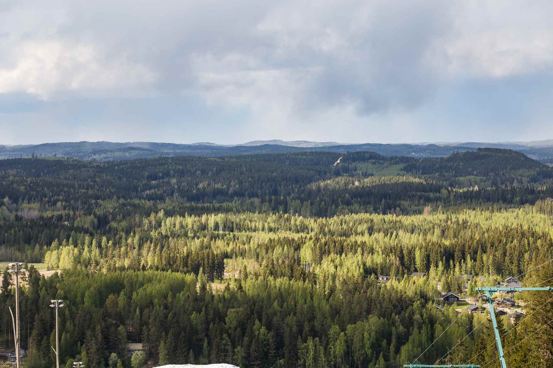 Himoksen patikointireitit